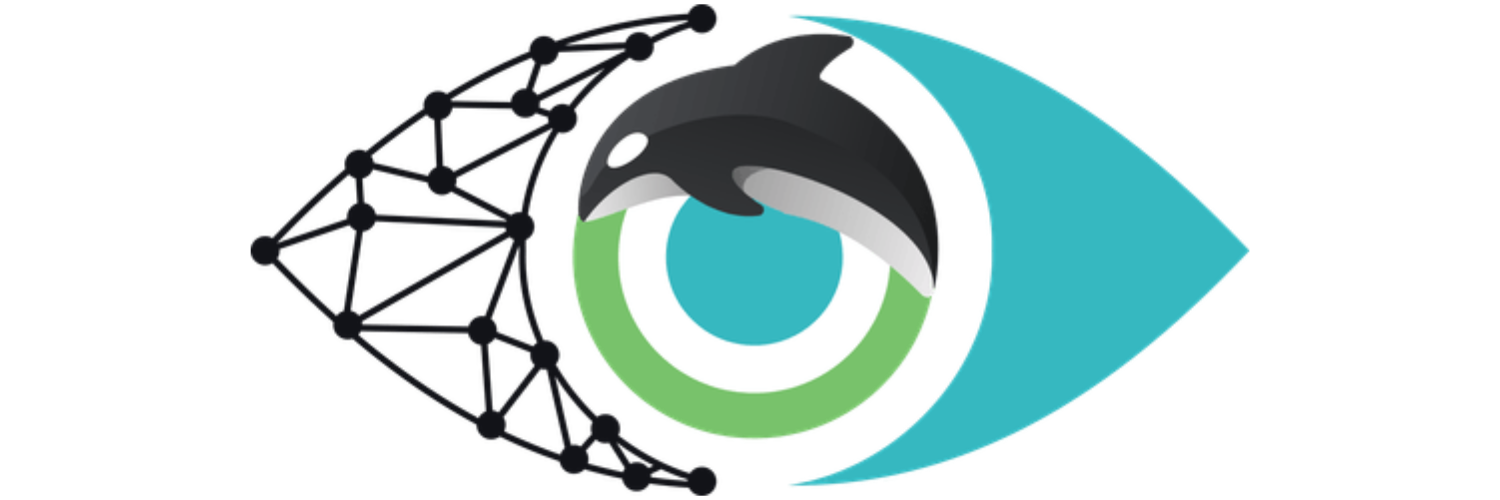 Orca AI Orca AI
